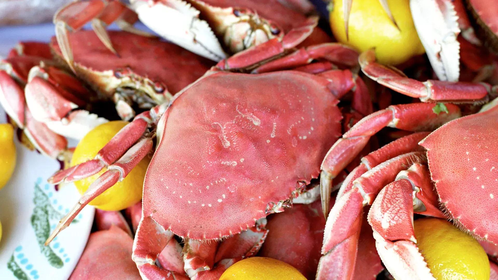 Close-up de uma pilha de caranguejos cozidos com rodelas de limão em uma travessa.